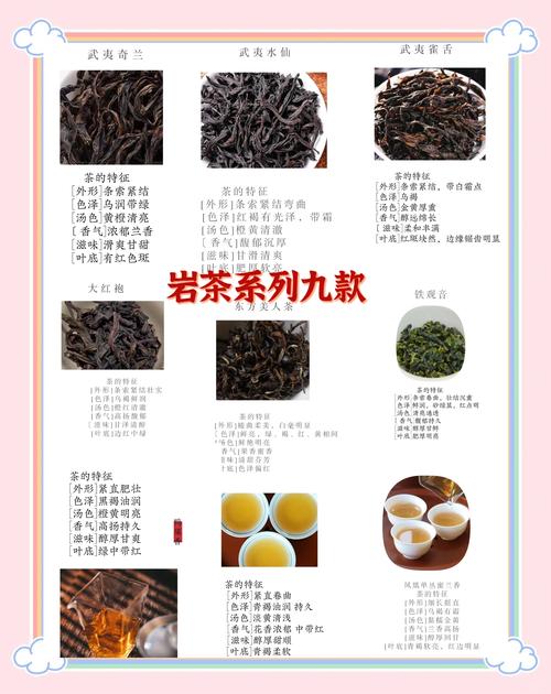 谷雨話茶丨武夷巖茶的“巖骨花香”是如何煉成的？