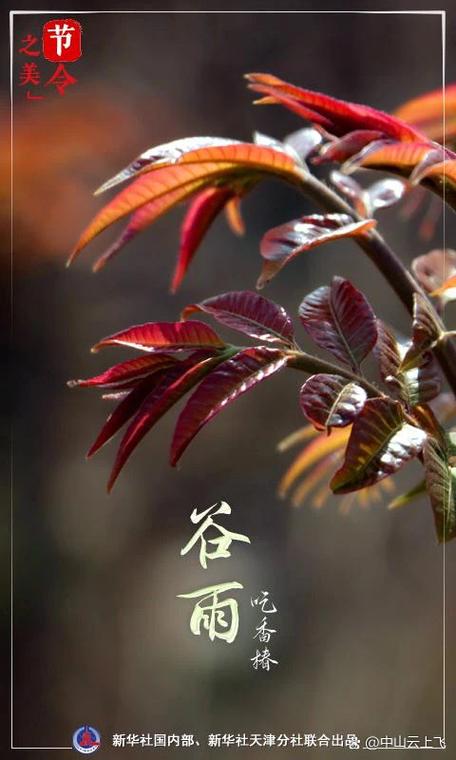 2025年4月21日 第3頁