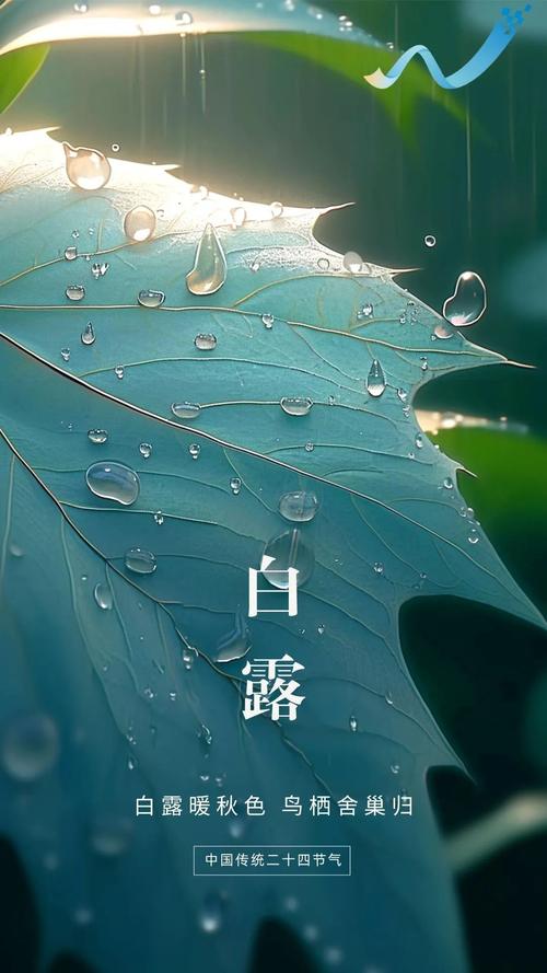 今日白露，和敬一丹在長城感受白露之美