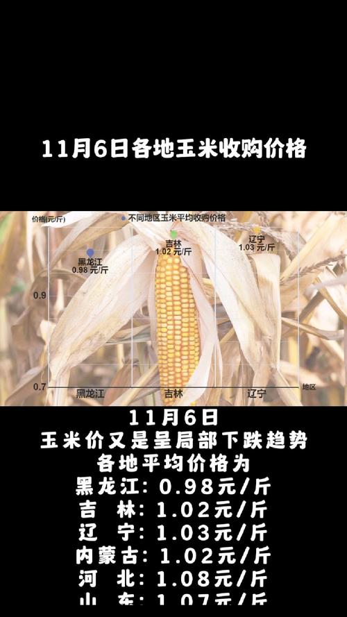 噩耗：企業(yè)“底線”下調(diào)，玉米下跌空間擴大