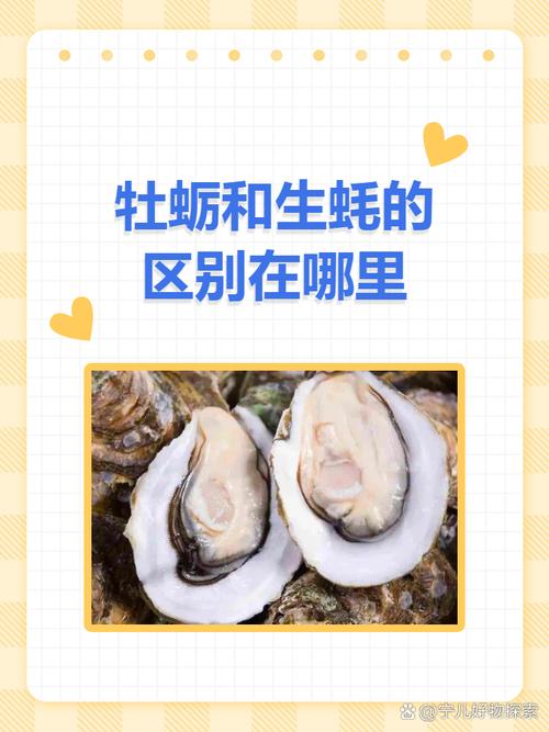 終于明白，生蠔和牡蠣長得一樣，區(qū)別可不小，了解清楚再買不上當(dāng)