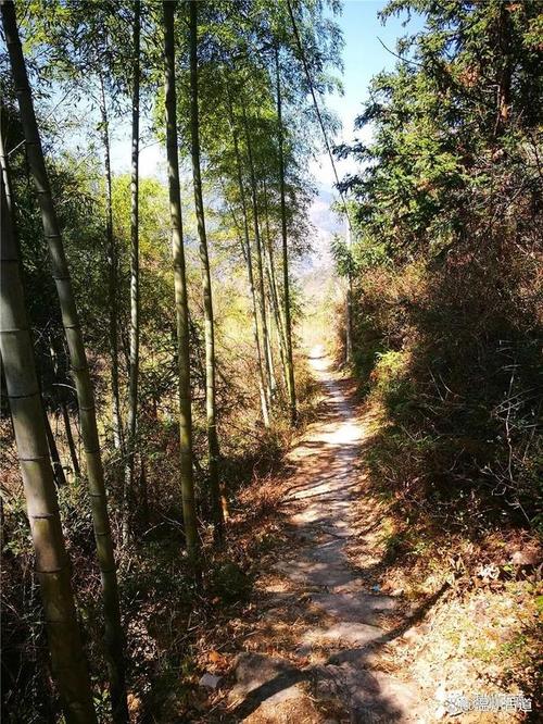 浙江深山里的秘境之路，三市交界的鹽幫古道