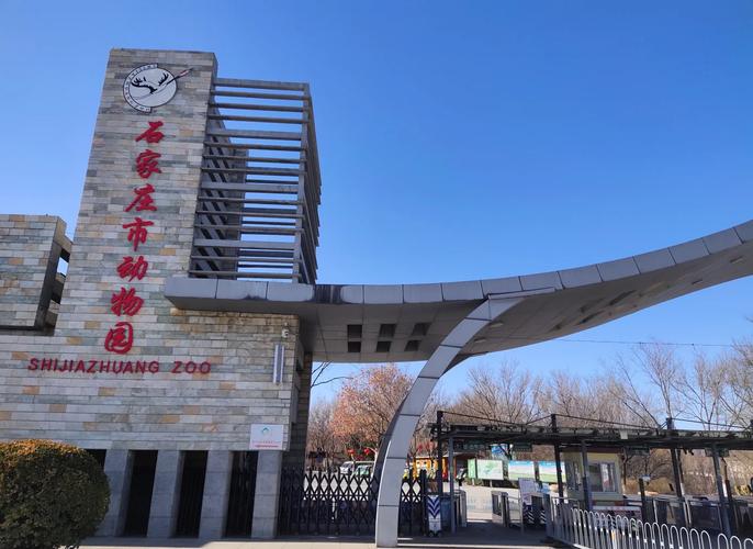 石家莊市動物園上新！