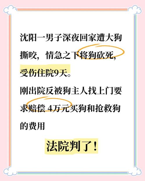 4月21日山東：男子帶狗接對(duì)象 狗狗誤踩油門(mén)沖河溝后現(xiàn)"郁悶?zāi)?quot;