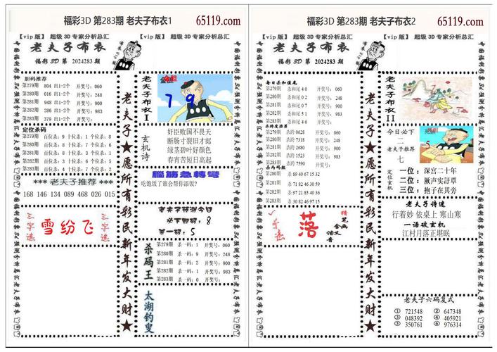 澳門王中王100%的資料2024年009期港澳福彩-全面釋義、專家解釋與落實與警惕虛假宣傳
