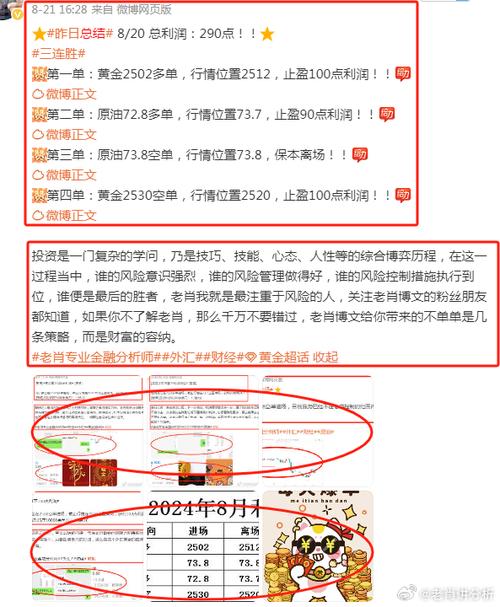 澳門管家婆100%精準(zhǔn)-全面釋義、專家解釋與落實與警惕虛假宣傳
