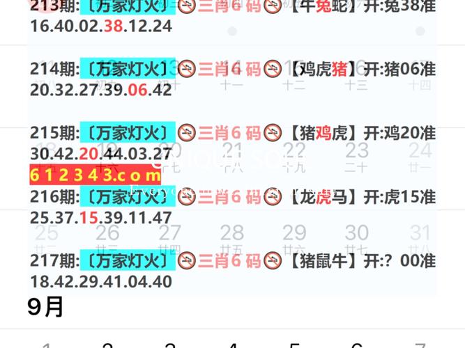 2024香港今晚開獎號碼結果-精選釋義、解釋與落實與警惕虛假宣傳