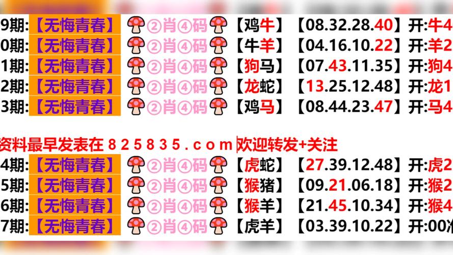 2024年今晚澳門特馬開什么-全面釋義、專家解釋與落實與警惕虛假宣傳