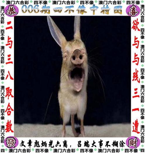 澳門一碼一肖一待一中四不像武夷山-精選釋義、解釋與落實與警惕虛假宣傳