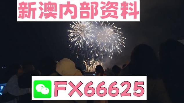 澳門新三碼必中一免費資料,全面釋義、專家解釋與落實與警惕虛假宣傳