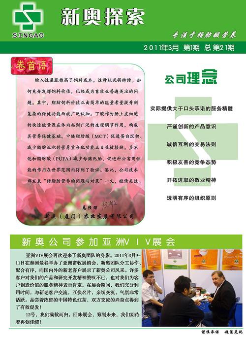 2025新澳精準(zhǔn)正版免費(fèi),精選釋義、解釋與落實與警惕虛假宣傳