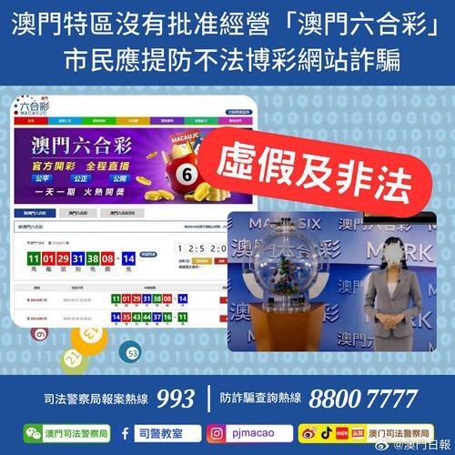 香港2024正版免費資料澳門,精選釋義、解釋與落實與警惕虛假宣傳