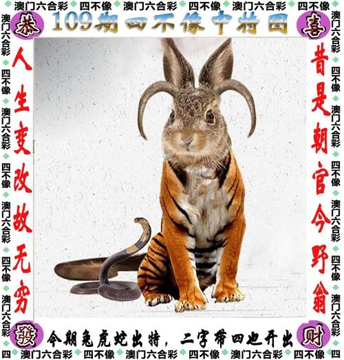 澳門(mén)最準(zhǔn)一肖一碼一碼配套成龍WN-全面釋義、解釋與落實(shí)與警惕虛假宣傳