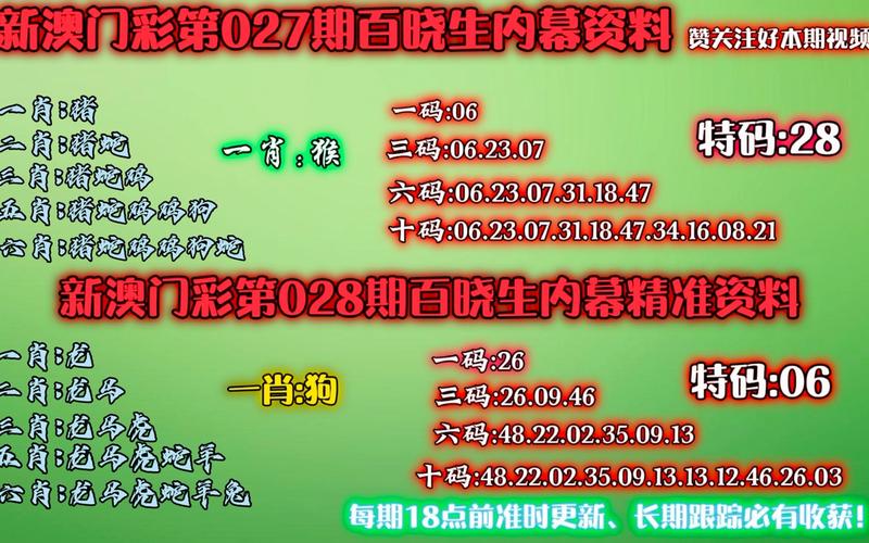 澳門精準(zhǔn)一碼必中期期大全,全面釋義、專家解釋與落實(shí)與警惕虛假宣傳