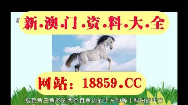 2023澳門(mén)今晚開(kāi)獎(jiǎng)特馬開(kāi)獎(jiǎng)結(jié)果與新澳天天開(kāi)獎(jiǎng)資料單雙全面釋義、解釋與落實(shí)與警惕虛假宣傳