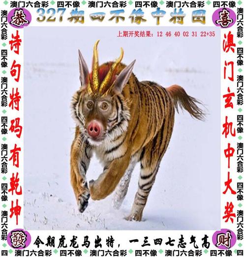 2023澳門(mén)今晚開(kāi)獎(jiǎng)特馬開(kāi)獎(jiǎng)結(jié)果圖片與新澳天天開(kāi)獎(jiǎng)資料大全最新54期開(kāi)獎(jiǎng)全面釋義、解釋與落實(shí)與警惕虛假宣傳