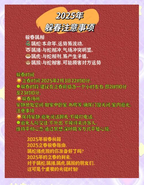 2025年正版資料免費(fèi)大全,2025全面解析實(shí)用技巧分享